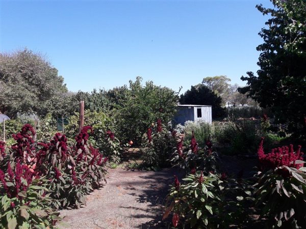 4 Bedroom Property for Sale in Loxton Northern Cape